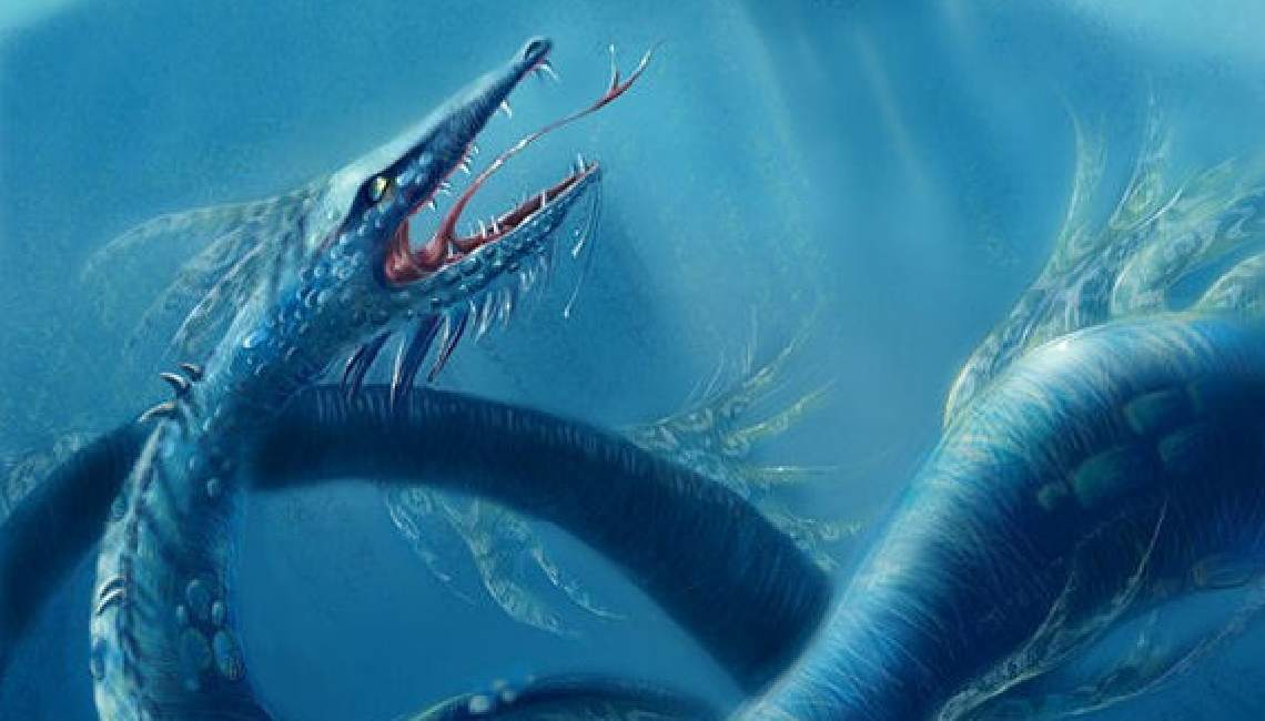Морской змей 2023. Морской змей (криптозоология). Андерсен Великий морской змей. Морской змей (Sea Serpent). Морские чудовища.